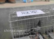 ����������������ֳ�ȫ��(ͼ)