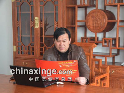 ǿ��������������ʮ��(ͼ)