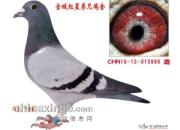 ��Ѫ869�����¶῵������ʮ��(ͼ)