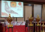 ������ۣ������α�����������(ͼ)