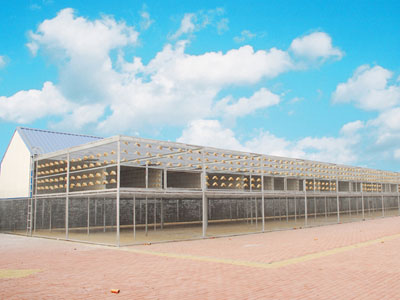 ���������ܻ��ã�