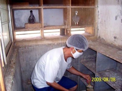 �ֳ�һ�仰 �ܰ�æ��������