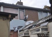 ���붨λ�뵼��֮��(��) 