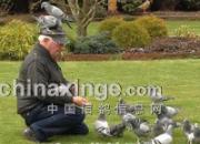 ��˹·�˵�˹������������Ϊ��(ͼ)