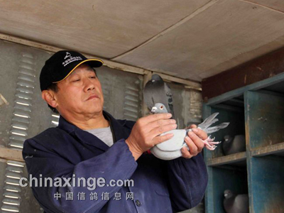 �������ĺ��ĺø���˸���(ͼ)