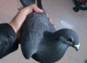 �ҵġ������桱����(ͼ)