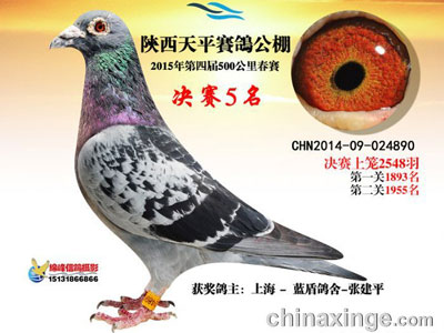 �����鳲�ܺ���� �۸��ȶ̣�(ͼ)