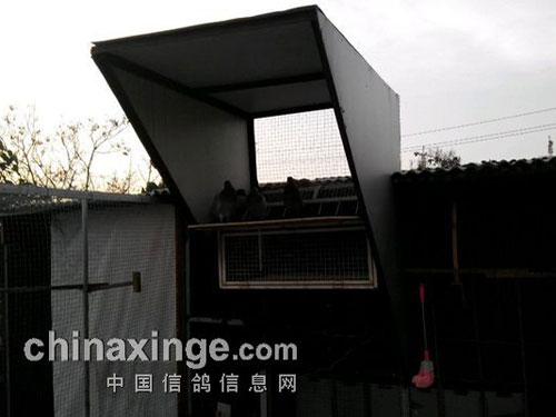 防猫“神器”：可翻转跳笼(图)