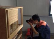 �Ϻ��ƽ𺣰�����Ӹ�Ч�ʸ�(ͼ)