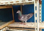 ���ȼ汸���ҵġ�ǧ���Ｏ�ž���(ͼ)