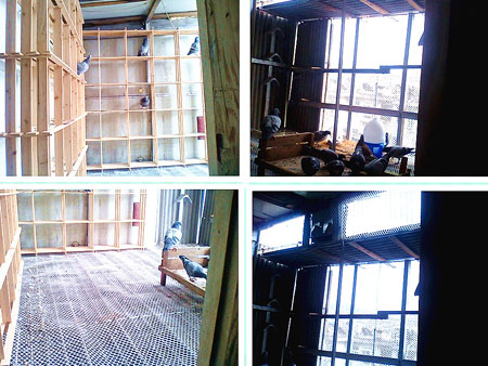 ì�ܣ����׼�֡�����������(ͼ)