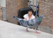 �����޴�Ǯ ϱ��˵�ҡ��������ˡ�