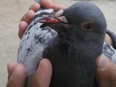 ��ֵ����ˣ���๴��������(ͼ)