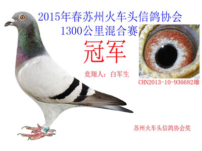 ���ݻ�ͷ1300����ǰʮ��������(ͼ)