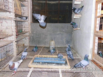 ����д�棺�ҵ�ª���׸�