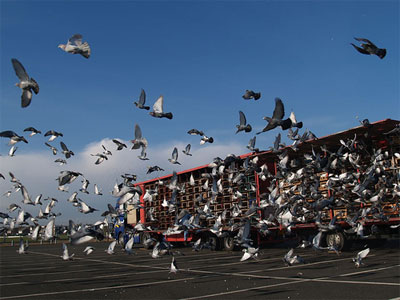 ����ʱ����³I������44293�����ŷ�