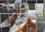 �����ո뼾������������������(ͼ)