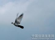 ��һ��������Ĺ��£��Ƶ���һȦ