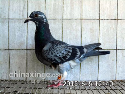 ˭˵���λ��˵Ķ��ǲ����(ͼ)