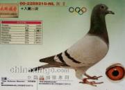 �ǵ�ʱ�ĵ�ղɭ�룺�콾֮��(ͼ)