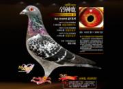 ����ġ�49��¹������������������