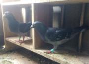 1500���ﳬԶ�̣����������34��(ͼ)