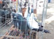 ������ɳ̲������ĩ����(ͼ)