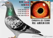 �콱֮ǰ����ʹ(ͼ)