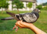 һֻ���ӵ��԰ף����ڹ��￴Ů���˿���