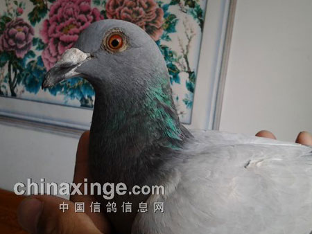 �ҵĵ�һ��ǧ����ع��(ͼ)