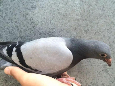 ����˵��Щ�벻�͹����ϧ