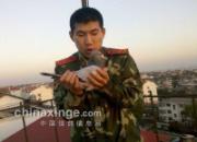 ���е��ж�Ҳ����(ͼ)