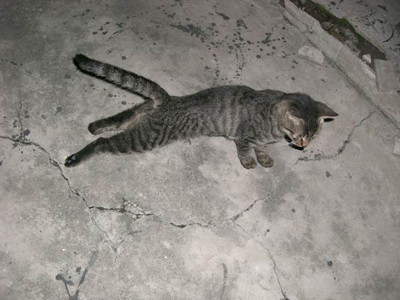 ������è ��ү������������