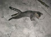 ������è ��ү������������