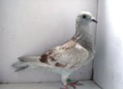 �����������ѡ���������桱����