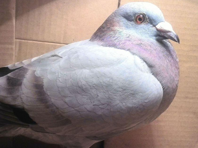 �Ϻ�1500����22����76��