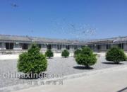 ������Ŀ��ʵ�ؿ��춫����ͥ����(ͼ)