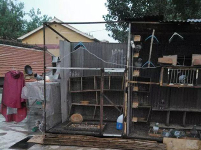 ��������������ﶥ��û��(ͼ)