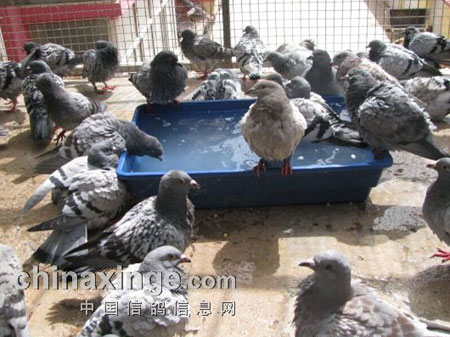 �＾�ط��ر�ϣ��֮��(ͼ)