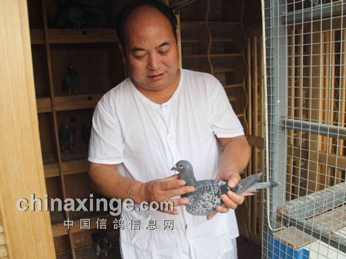 ������������Ǿ�����ƽ(ͼ)