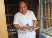 ������������Ǿ�����ƽ(ͼ)