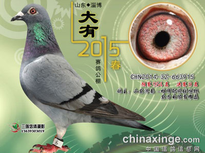 �������ʮ���� �������