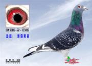 һ��Ѫ���ھ������ٳ�һ��һ��