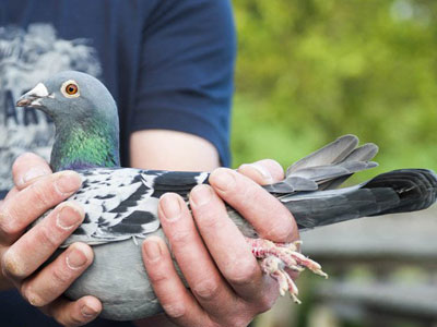 ����ʱ���¶�������6577���¿ƹھ�(ͼ)