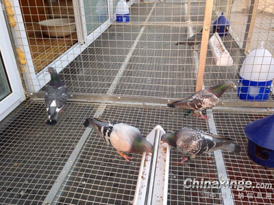 ����������ʵ�� �����ˣ�