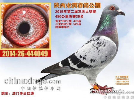 15��ս�������ｻ������(ͼ)