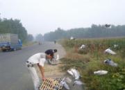 ����9�� �Ҷ���ȫ��Ψһ��Ա