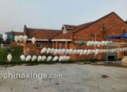 ��ɫ�Ļ���ʵ�ؿ�����ݺ�㹫��(ͼ)