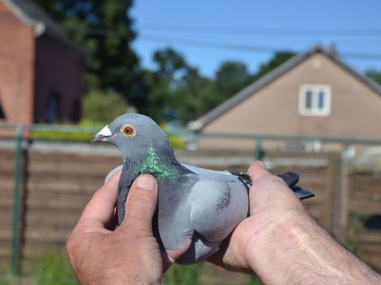 ����ʱ���׹�����2.8����ھ���¯(ͼ)