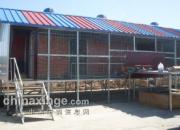 ������ Ͷ��6����ʽ���� (ͼ)